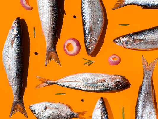 Have we run out of fish?