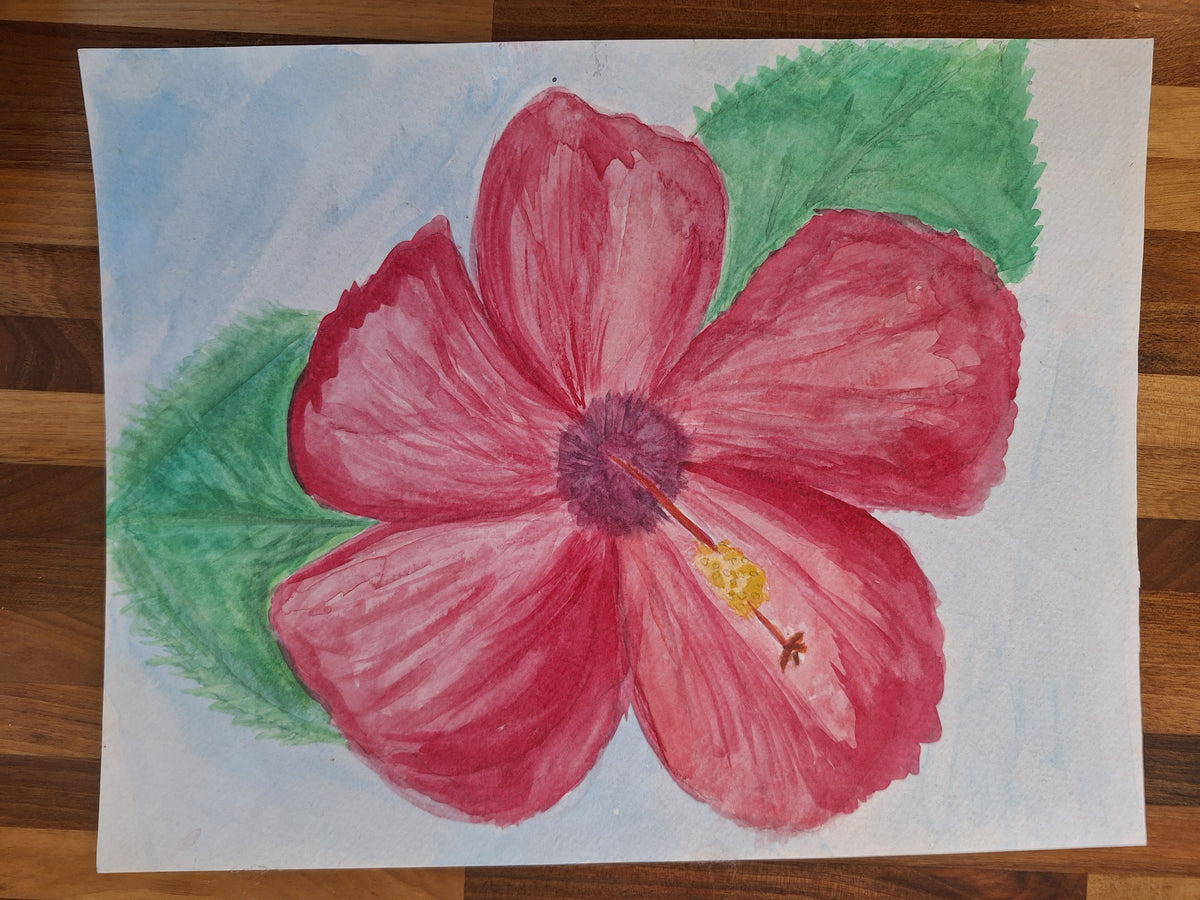 Pink Hibiscus – Original Colored Pencil Sketch | The Lydia Collection
