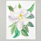 Magnolia in Bloom — Original Watercolor by Lydia